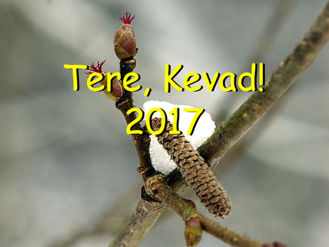 Tere kevad 2017